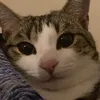 tuffneckhurt