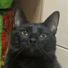 freyu_tf