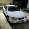 saparow760