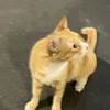 itsyoimytime
