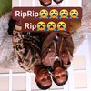 wude.abyne