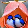 m.alam987654321