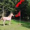 loujaine.hassani