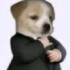 nocopyrightlike