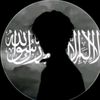 user5125408345