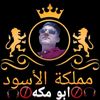 mogh1051819908810