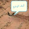user9951636810578