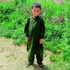 gardiz.shinwari