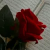 ali842830