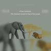 .naomy.mwangi