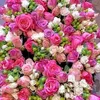 user8875334270331