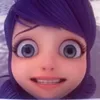 duddinhalb