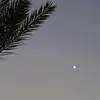 saramarmira