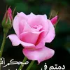 ali.saedi32