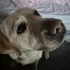 ellarosezzzzz