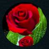 user6344573886524