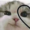 (✯ᴗ✯)jennie(✯ᴗ✯)