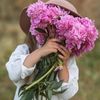 arwa778800