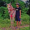 paingzay758