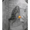 melirom10