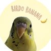 tictacbirb