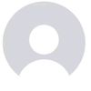 rizss989