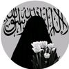 user7024475286684