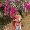 thandar.win4428