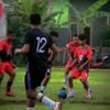 arfanharmin