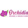 orchidiaanggreksolo