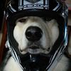 ericthemtb
