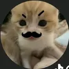 kitty.bunny09