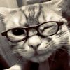 masud_pro0