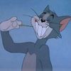 Funny Animals