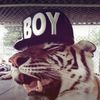 travon380