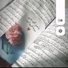 user5253715910559
