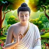 phuong83h