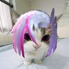 user2201127