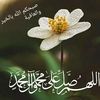 user8548036818507
