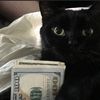 carti9873