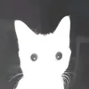 dachotakoe7