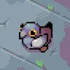 pigeon7958