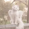 .what.are.u.looking.at