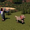 userminicraft2