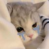 rj.nopol