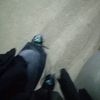 boza_bahabiho