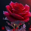 user1540493161143