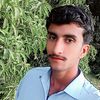 mustafa.alee301