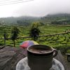 denokaguswahyudi