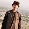 ahmadmohammadi378